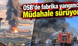 Geri dönüşüm fabrikası alevlere teslim oldu