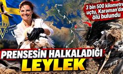 3 bin 500 kilometre uçtu, Karaman’da ölü bulundu