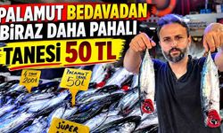 Palamut bedavadan biraz daha pahalı: Tanesi 50 TL