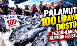 Palamut ve hamsi tezgâhlarında metrelerce kuyruk