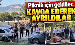 Piknik kavgasında tekme ve yumruklar havada uçuştu