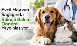 Evcil Hayvan Sağlığında Bilinçli Bakım Dönemi Yaygınlaşıyor