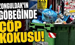 Zonguldak’ın göbeğinde çöp kokusu!