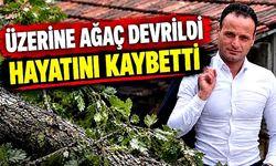 Üzerine ağaç devrilen işçi hayatını kaybetti