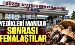 Yedikleri mantar sonrası fenalaştılar