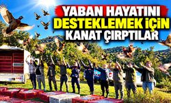 Yaban hayatını desteklemek için kanat çırptılar