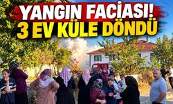 Otluk alanda çıkan yangın, 3 eve sıçradı