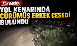 Yol kenarında çürümüş erkek cesedi bulundu