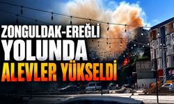 Zonguldak-Ereğli yolunda alevler yükseldi