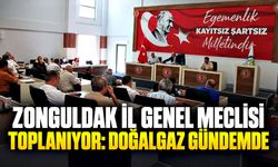 Zonguldak İl Genel Meclisi toplanıyor: Doğalgaz gündemde
