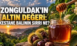 Zonguldak’ın altın değeri: Kestane balı