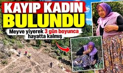 Kayıp olan yaşlı kadın dron ile bulundu; Meyve yiyerek 3 gün boyunca hayatta kalmış