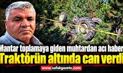Mantar toplamaya giden muhtardan acı haber!
