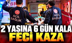 Doğum gününe günler kalmıştı: Melis bebek kazada öldü