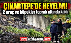 Çınartepe’de Heyelan! 2 araç ve köpekler toprak altında kaldı