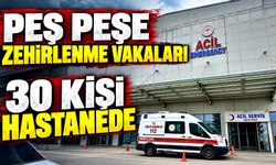 Kastamonu'da mantar paniği! 30 kişi hastanelik oldu