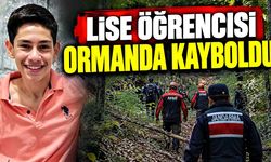 Okuldan çıktı, ormanlık alana gitti; Öğrenciden haber yok