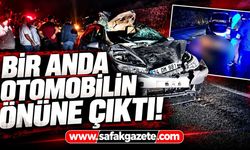 Bir anda otomobilin önüne çıktı! Bartın’da sürücü hastanelik oldu