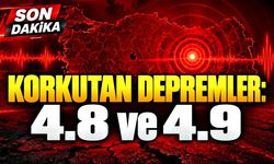 Peş peşe iki deprem: 18 dakika arayla sallandı