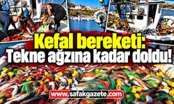 Balıkçıların yüzünü güldüren av: Tekne 1,5 ton kefalle döndü