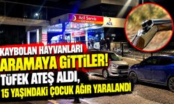 Tüfek kazara ateş aldı! 15 yaşındaki çocuk ağır yaralı