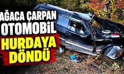 Ağaca çarpan otomobil parçalandı: Sürücü hastaneye kaldırıldı
