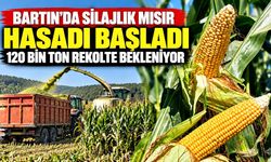 Bartın’da silajlık mısır hasadı başladı: 120 bin ton rekolte bekleniyor