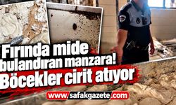 Hamam böceği ve sigara izmaritinden geçilmeyen fırında mide bulandıran görüntüler