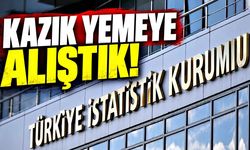 Kazık yemeye alıştık!