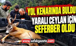 Yol kenarında buldu! Yaralı ceylan için seferber oldu