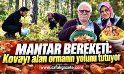 Mantar bereketi: Kovayı alan ormanın yolunu tutuyor