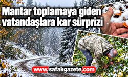 Mantar toplamaya giden vatandaşlara kar sürprizi