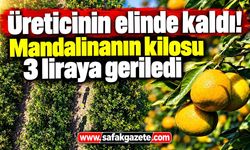 Mandalina 3 liraya kadar düştü! Üretici isyan etti