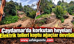 Çaydamar Mahallesinde korkutan heyelan elektrik telleri koptu ağaçlar devrildi