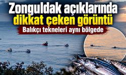 Zonguldak açıklarında balıkçı trafiği