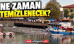 Zonguldak Limanı ne zaman temizlenecek?