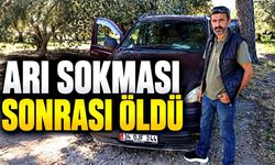 Akrabalarıyla zeytin topluyordu: Arı sokması sonrası öldü