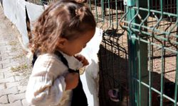 Hayvan sevgisi küçük yaşta başladı: Öğrenciler barınağı ziyaret etti