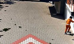 Kediye kötü muamele iddiası tepki çekti: Hayvanın durumu ağır
