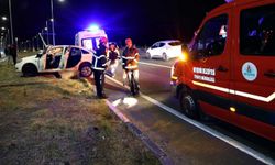Tilkiye çarpmamak için manevra yaptı: Zincirleme kazada 1 yaralı