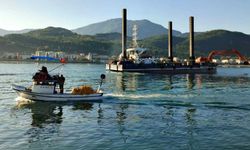 Cide Limanı'nda temizlik çalışması