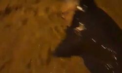 Armutlu’da sel sularına kapılan adamı böyle kurtardı