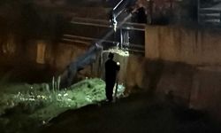 Vinçle kurtarılmayı bekleyen eşek sahibine koştu