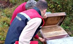 Yığılca'da ekipler sahada tek tek sayıyor