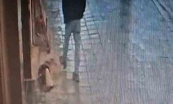 Uyuyan köpek, kendisine tekme atan adamı ısırdı