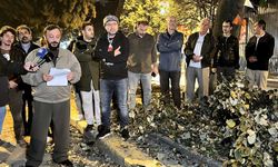 Eyüpsultan'da ağaç kesimi iddiaları sonrası vatandaşlardan İBB'ye tepki