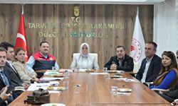 Anadolu mandası için 3 il Düzce’de buluştu