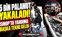 5 bin palamut yakaladı! Sinop'ta yardıma başka tekne geldi