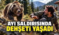 Ayı saldırısında dehşeti yaşadı, bacağına 17 dikiş atıldı