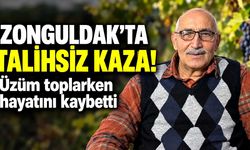 Zonguldak’ta talihsiz kaza: Üzüm toplarken hayatını kaybetti